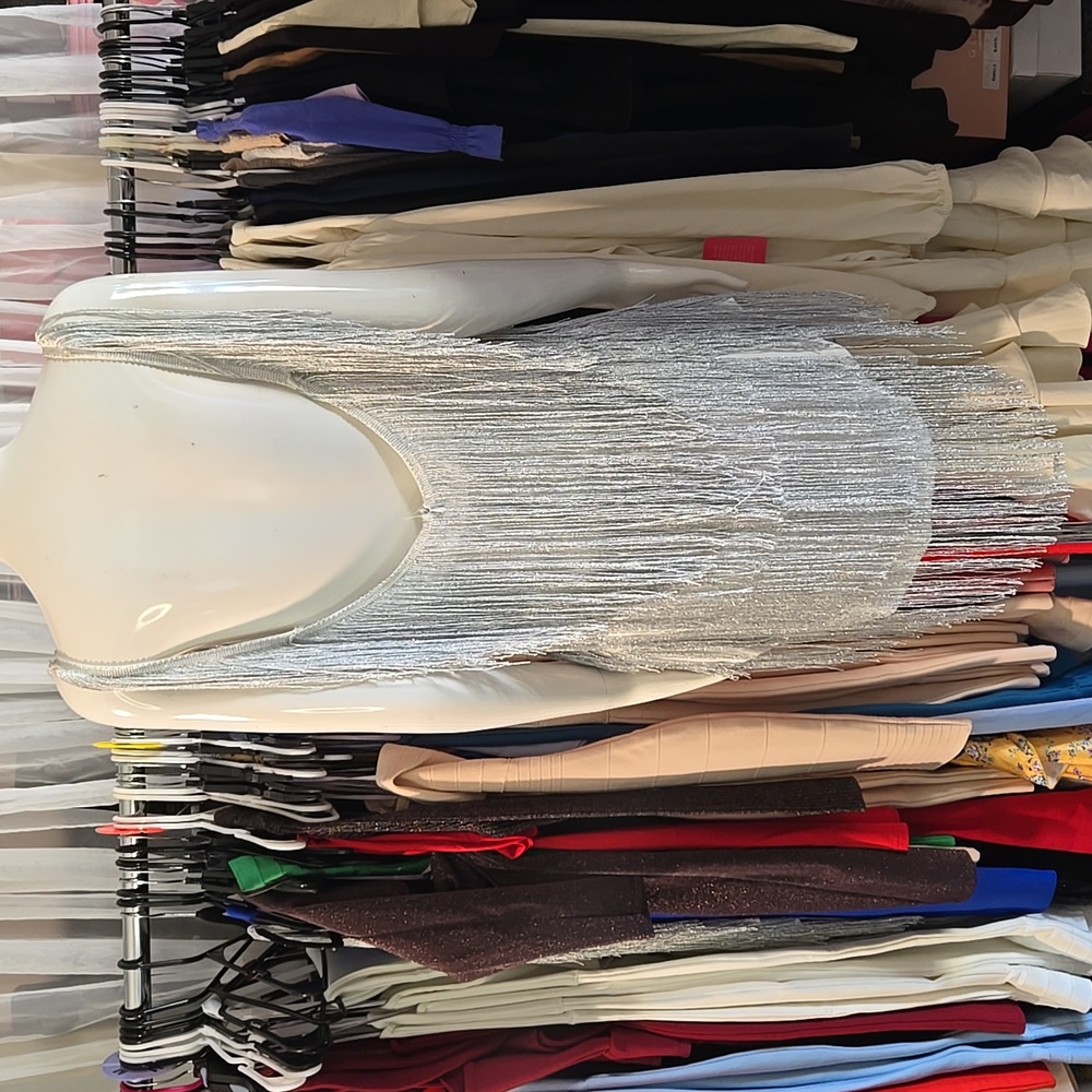 Silver Fringe Dress - Picture 6 of 6